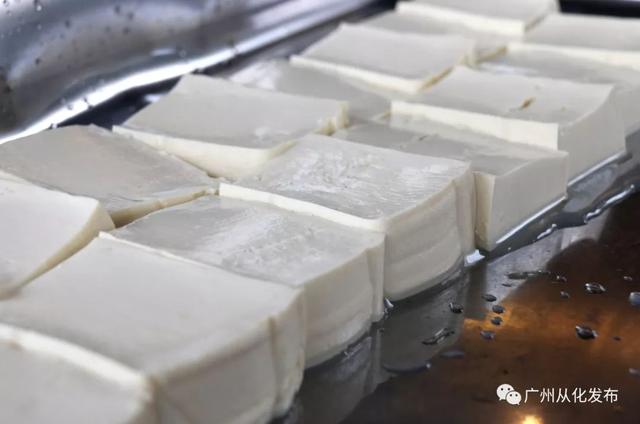 第三届吕田豆腐文化节五一开幕组团去莲麻吃豆腐吧