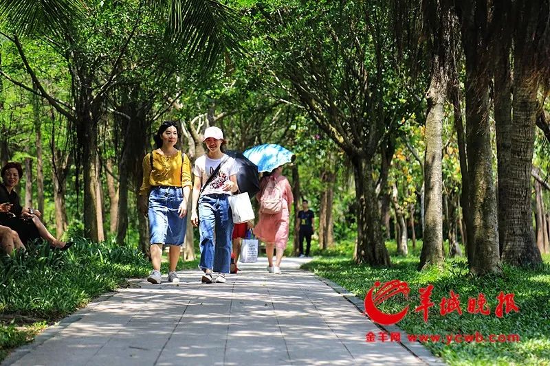 【必看】深圳绿道:都市桃源,许你一段美妙慢时光 找av导航