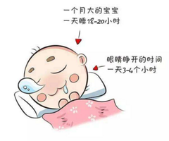 d86c95010efb44268257c0691575c245.png