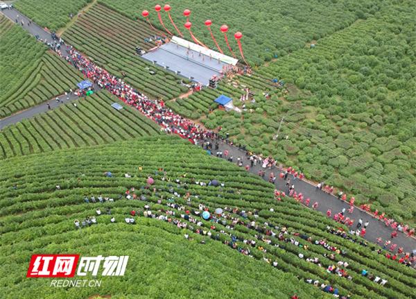2019农业经济_2019年国家最新政策 这些农民有补贴,最高能领数万元