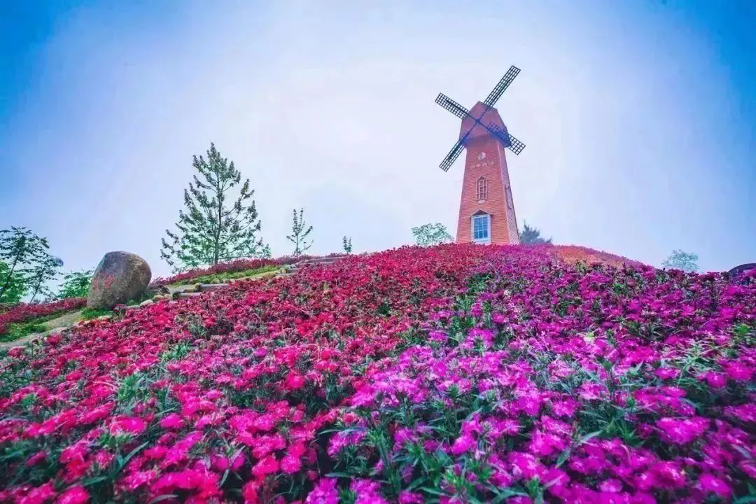 约约约!五一小长假,英山四季花海首届美食音乐节邀你来狂欢!
