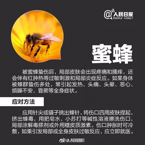                     2岁男孩眼皮上突然冒出一个小黑点！医生：这东西会要命！