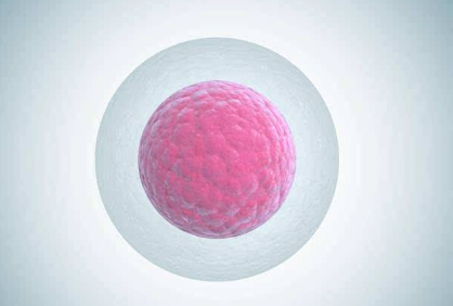 备孕女性排卵试纸强阳后几小时,怀孕几率最高呢? 10bet在线娱乐百家乐
