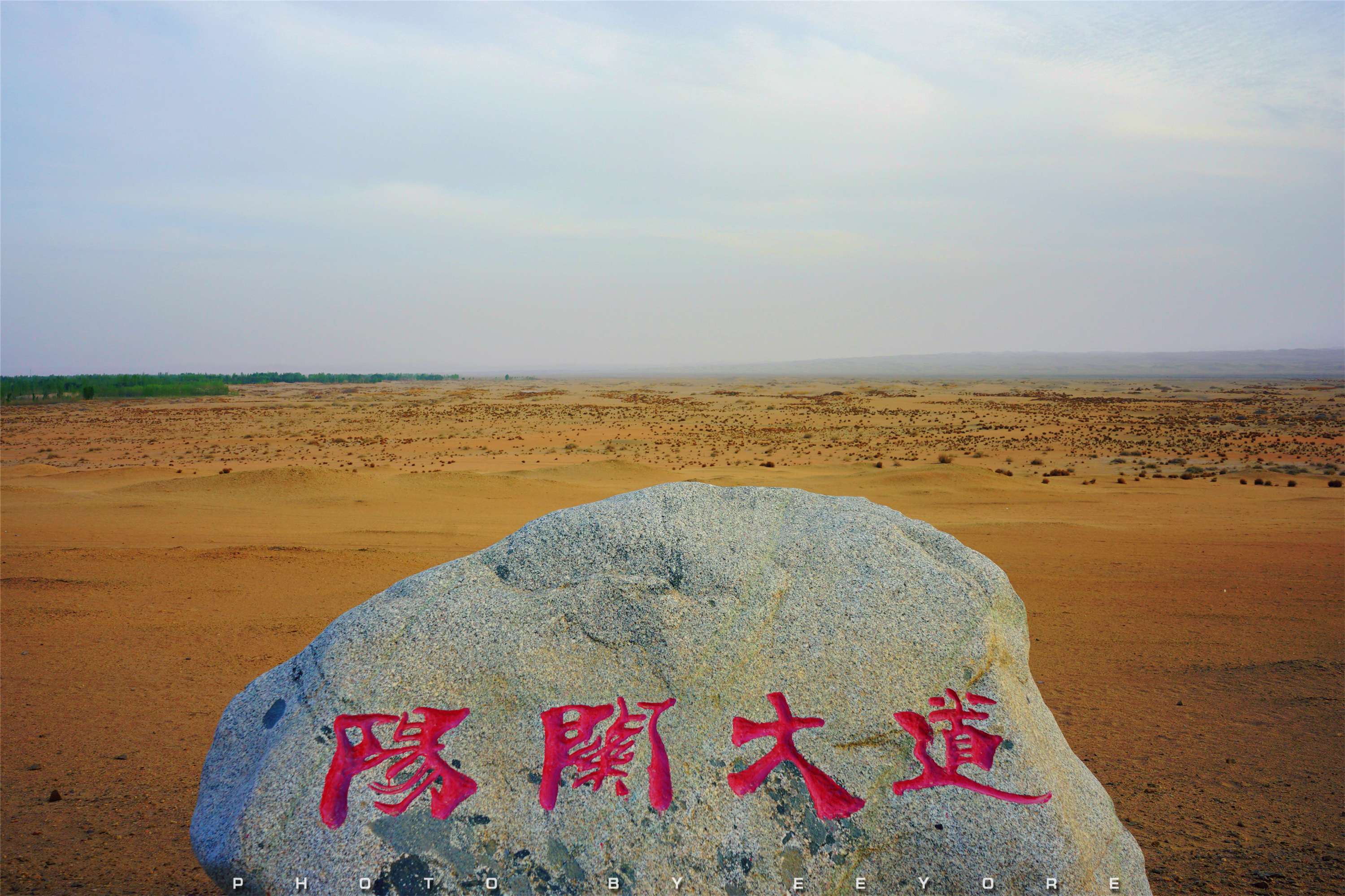 路旅阳关说张骞的故事 道行边塞读王维的诗篇