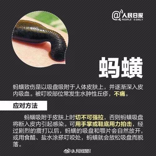                     2岁男孩眼皮上突然冒出一个小黑点！医生：这东西会要命！