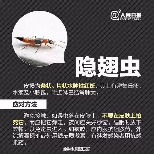                     2岁男孩眼皮上突然冒出一个小黑点！医生：这东西会要命！