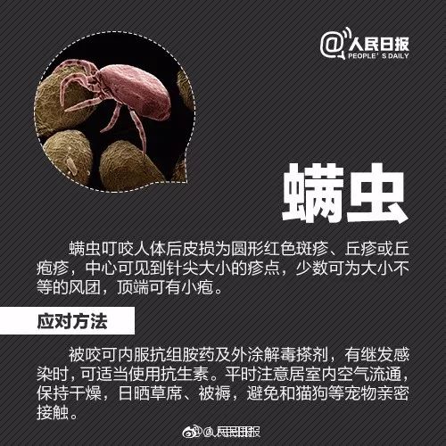                     2岁男孩眼皮上突然冒出一个小黑点！医生：这东西会要命！