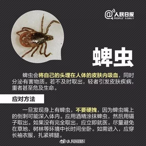                     家长注意了！2岁男孩眼皮上突然多了颗“黑痣”！医生：这东西会要命！