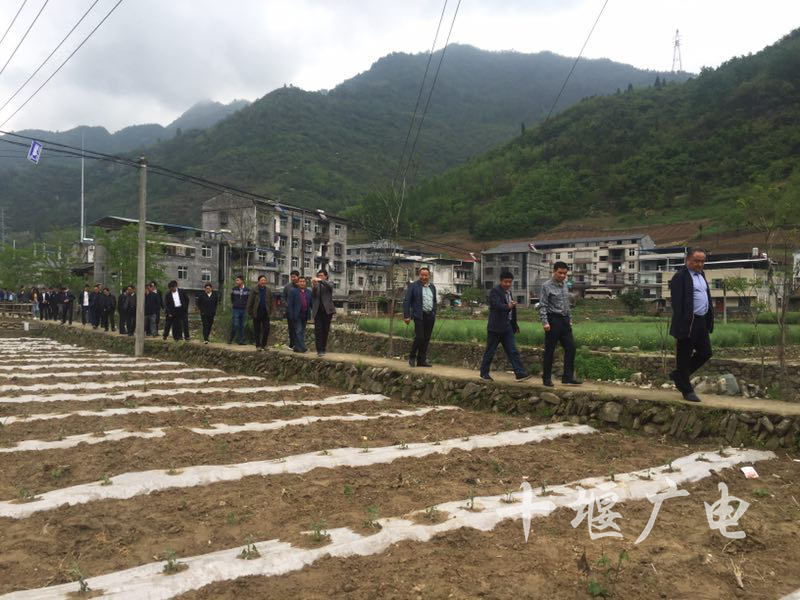 竹山县双台乡项目拉练亮肌肉比学赶帮促发展