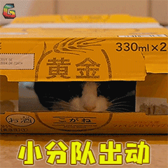 警惕!厦门路边出现大量小红土堆,千万别碰!曾有多人因此中毒、休克… 亚洲通注册