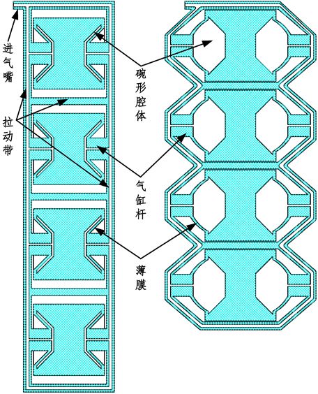 青年科学家趣谈科学刘建彬机器人有肌肉是种什么样的体验