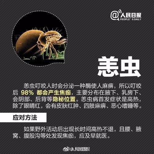                     2岁男孩眼皮上突然冒出一个小黑点！医生：这东西会要命！