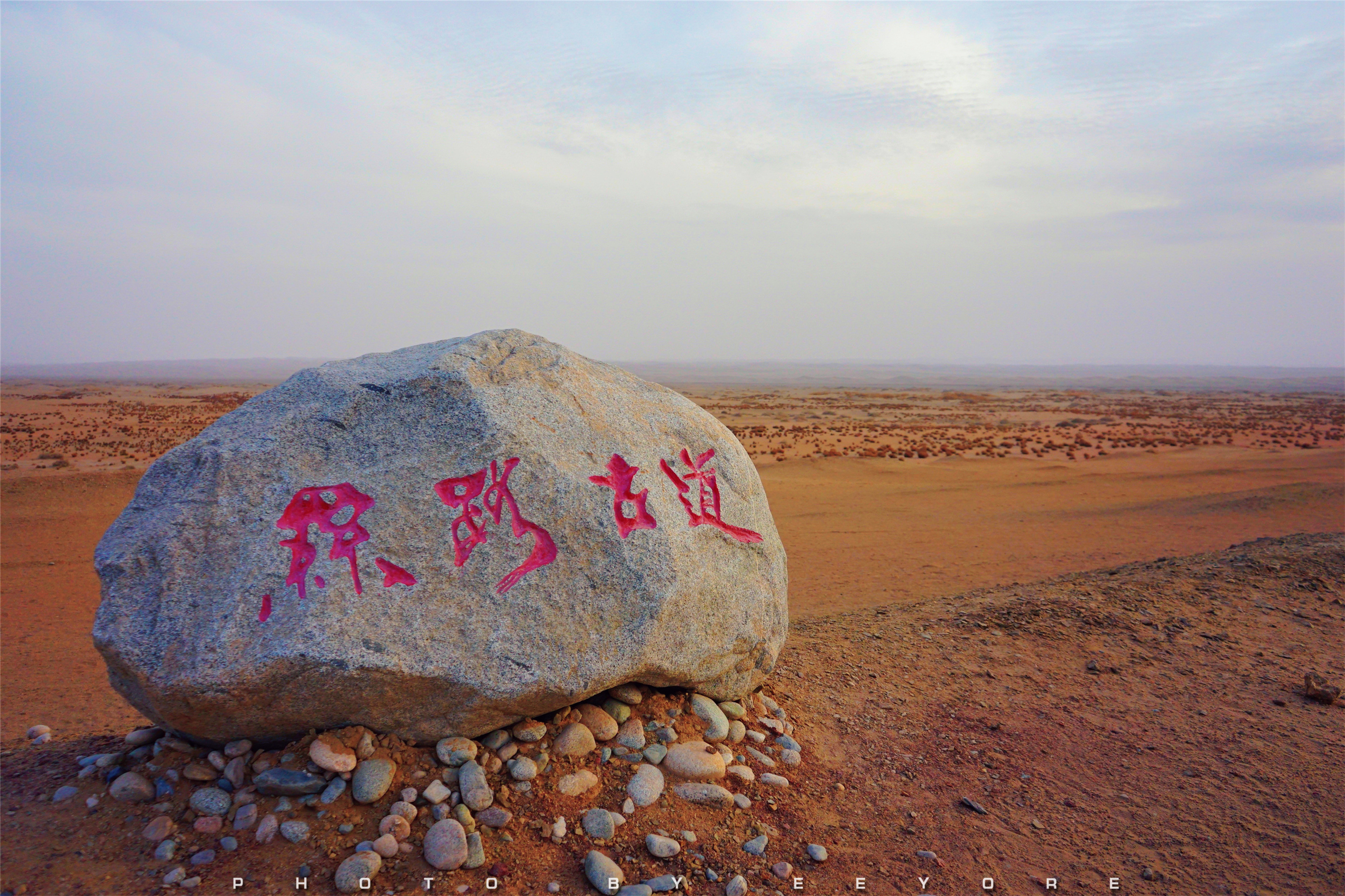 路旅阳关说张骞的故事 道行边塞读王维的诗篇