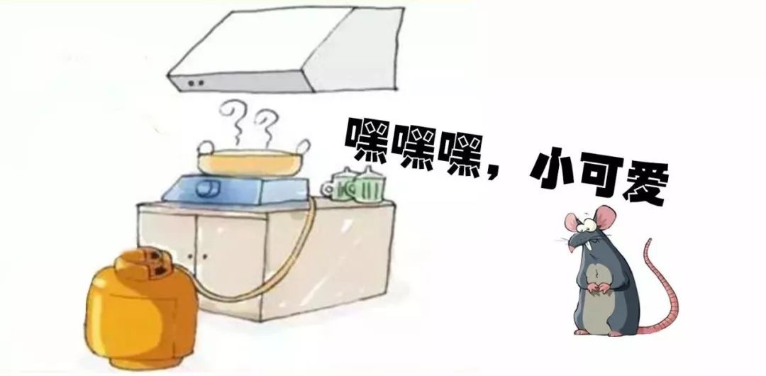                     厨房这根管子祸害了很多家庭！盘它