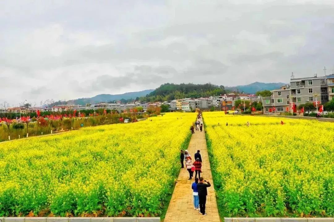 聚焦文旅大会|上杭生态绿!