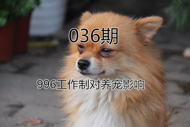 164e9e1672024e4f889c4aa5d1ddeb70.jpeg