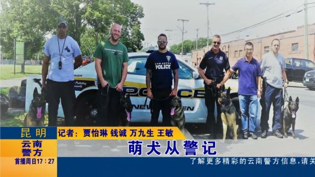 中国第一克隆警犬昆勋受训记