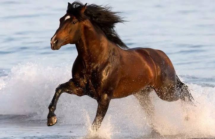 三十六计故事17：用好了是“抛砖引玉”，用不好就是“答非所问”