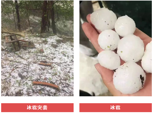 修文各乡镇gdp_广西博白县各乡镇地图(3)