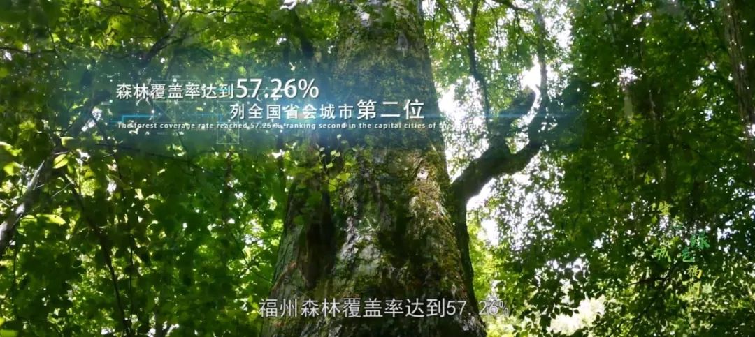 福州森林覆盖率达到57.26%