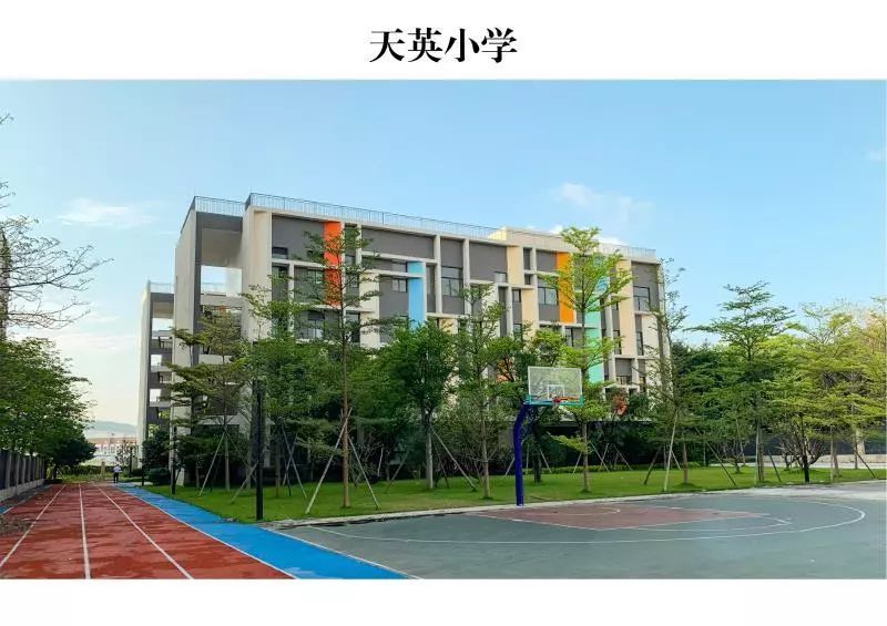 广州天河小学排名_广州天河第一小学(2)