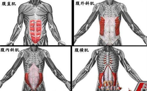                     产后腹直肌分离，肚子松松垮垮——孕期强健腹部肌肉才是关键