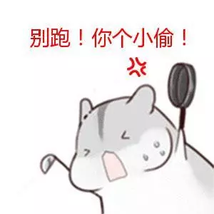 64c682fdbb954102b4bab96865fafd56.jpg