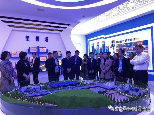 2019工业经济运行_...中视察全旗重点工业项目进展和矿区环境整治情况