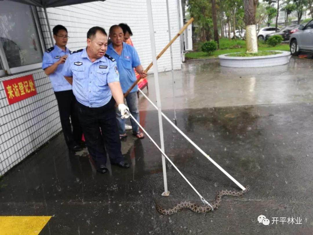 亚洲有多少人口_...,朝鲜全国一共有多少人口(3)