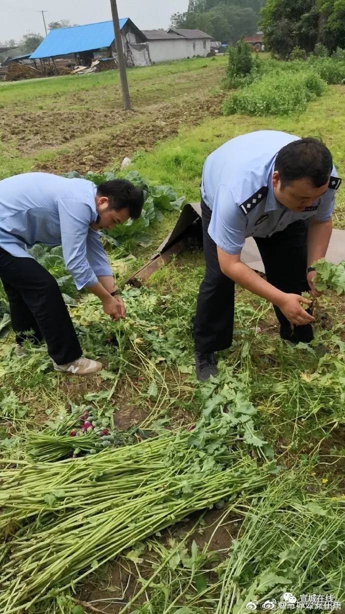 宣城古泉,孙埠再抓5人!