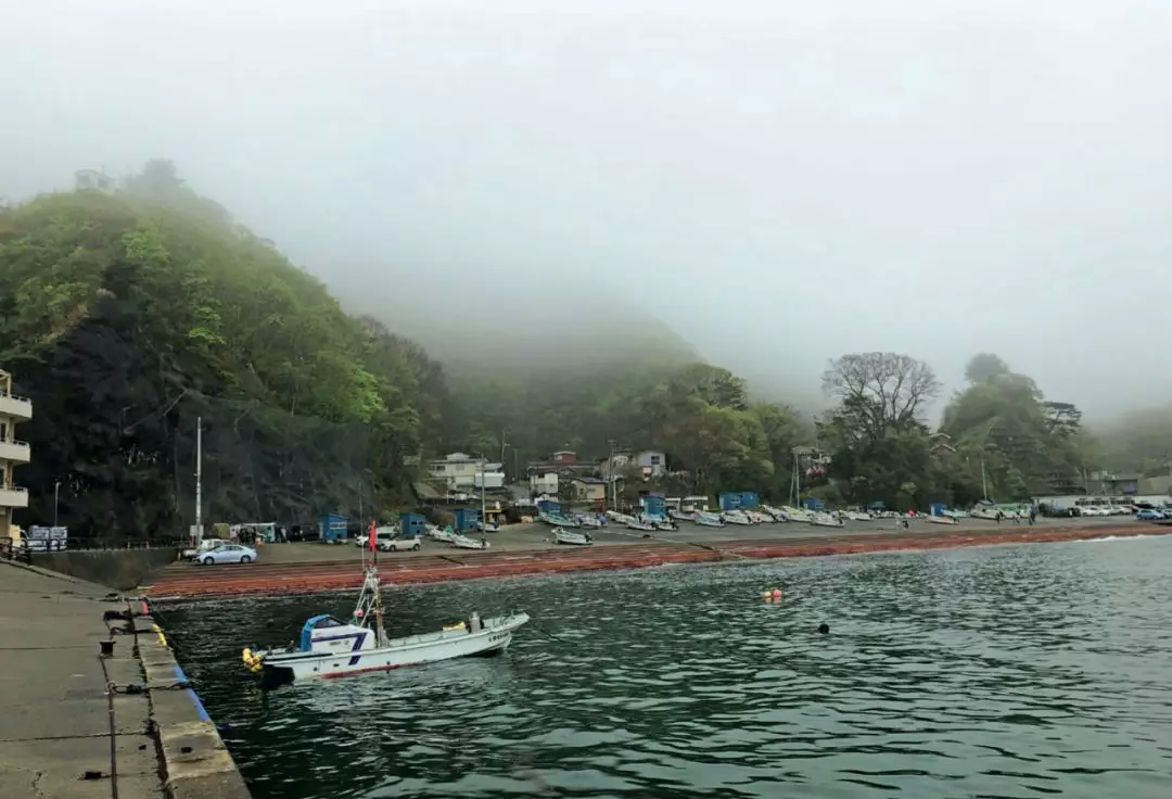 海女 故乡岩手 如此冷清 如此美丽 海胆