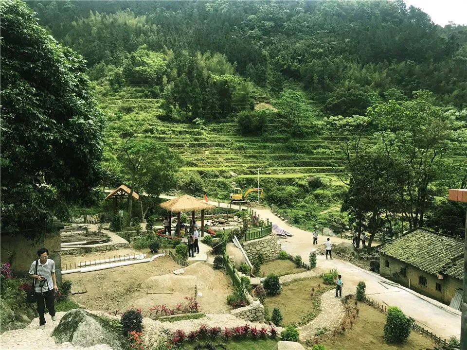 打卡阳江最美乡村!望山看水觅乡愁,美丽景色入画来