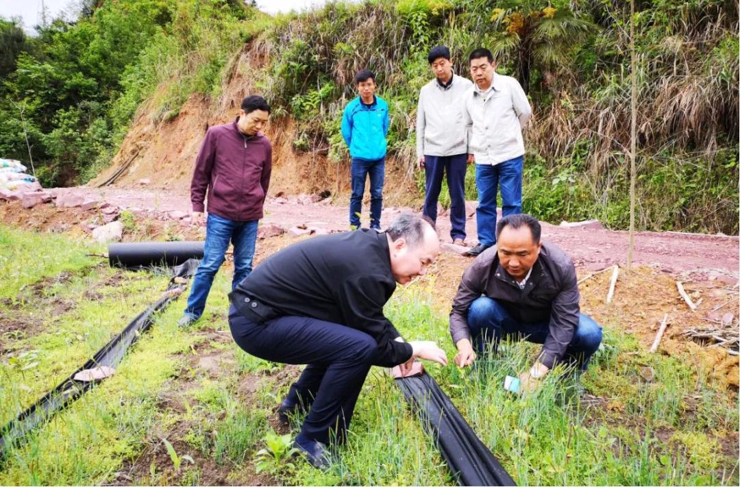 脱贫攻坚省核工业地质局党组书记罗年率队到水田坪村调研脱贫攻坚工作