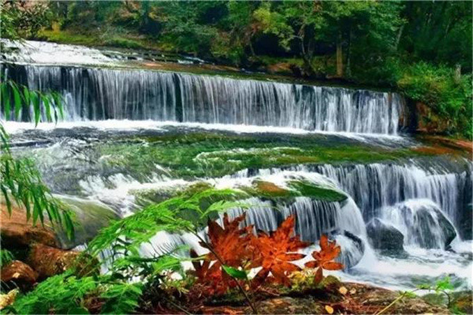 赏花,踏青,露营,探险……五一自驾游武定旅游攻略!