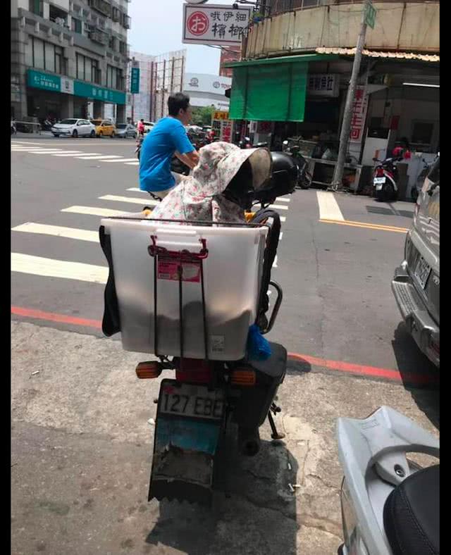 老爷爷担心狗狗太热,还给它穿上了花色防晒服,这是狼外婆吗? 操美女