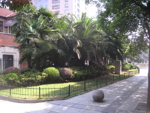 你的地方·实录｜档案内外：丰记米号里的赤胆忠魂