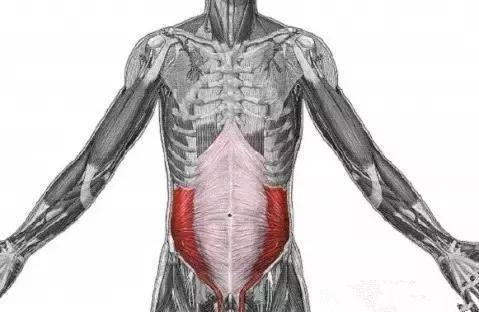                     产后腹直肌分离，肚子松松垮垮——孕期强健腹部肌肉才是关键