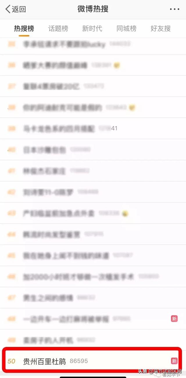 微博怎么看热搜啊 cf82dc19c4914cbebea009383d9b795d.jpeg
