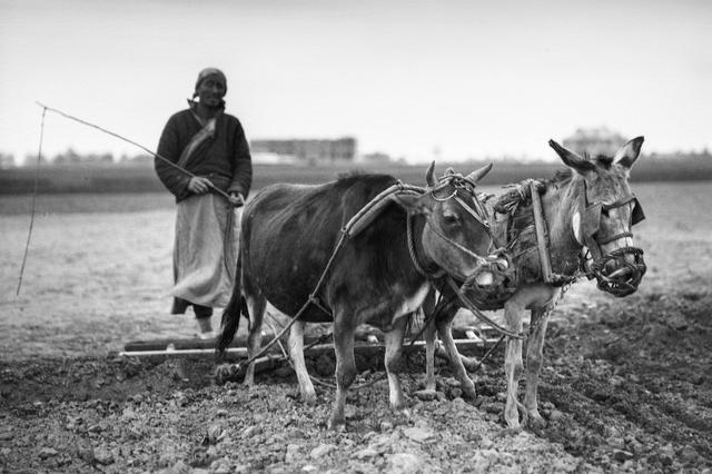 河南开封1923年，古城墙下的百姓生活