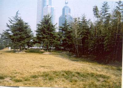 你的地方·实录｜档案内外：丰记米号里的赤胆忠魂