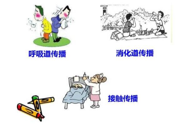 其症状类似于流感,传播途径主要接触鸡,鸭,鹅,鸽子等家禽和一些鸟类.