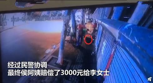 9000元宠物鸡被偷走，找到时已被拔毛准备下锅，主人当场崩溃