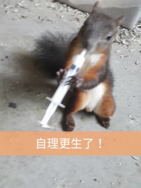 封面无敌!