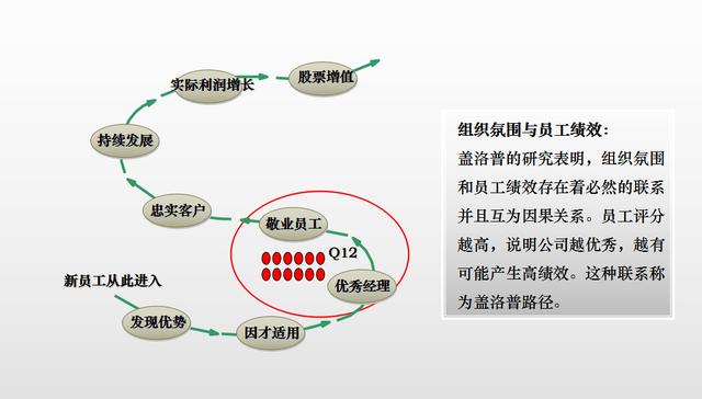 盖洛普q12问卷数据分析