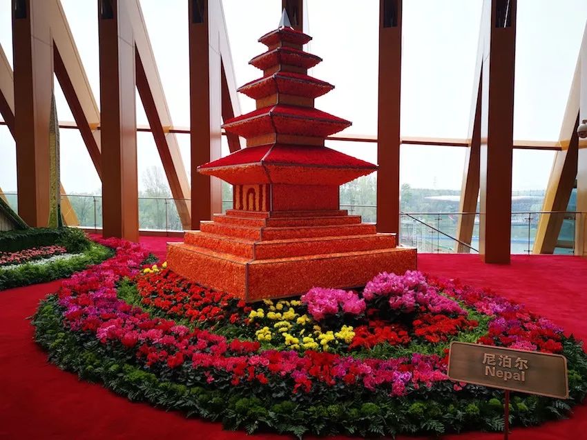 长城脚下世园会,习近平和各国领导人去看了啥