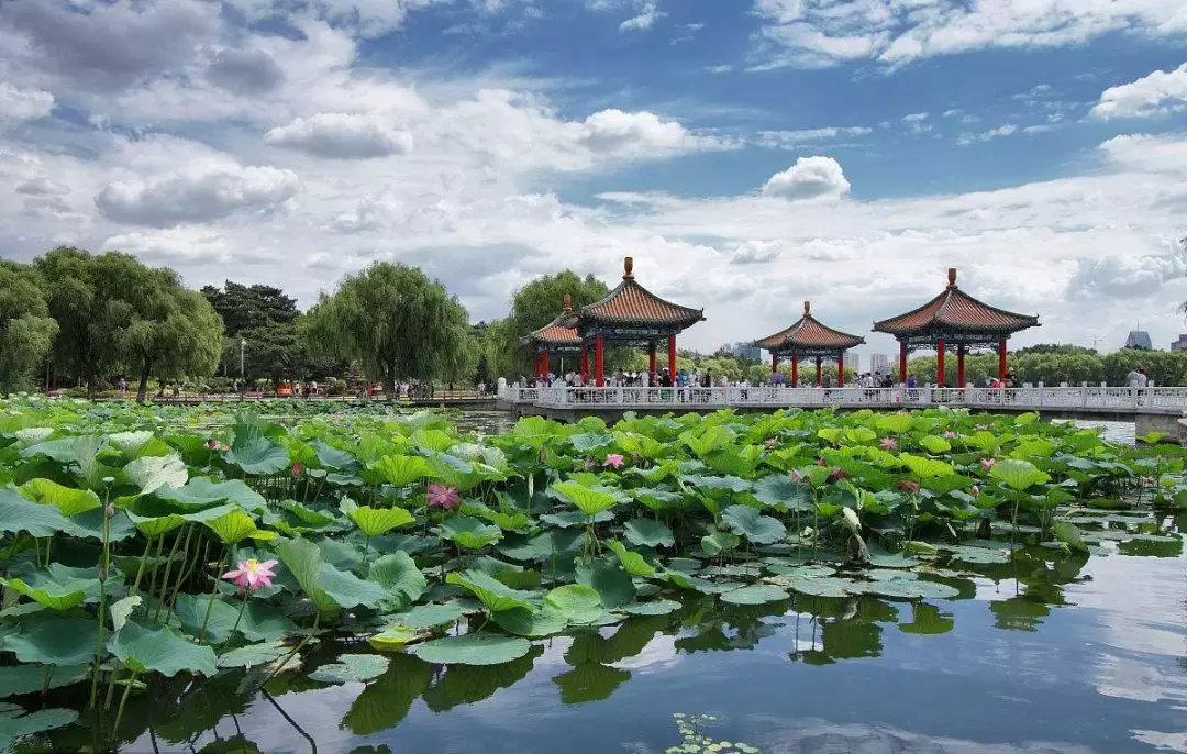 长春最新免费景点出炉!这个五一,不花一分钱玩遍长春!