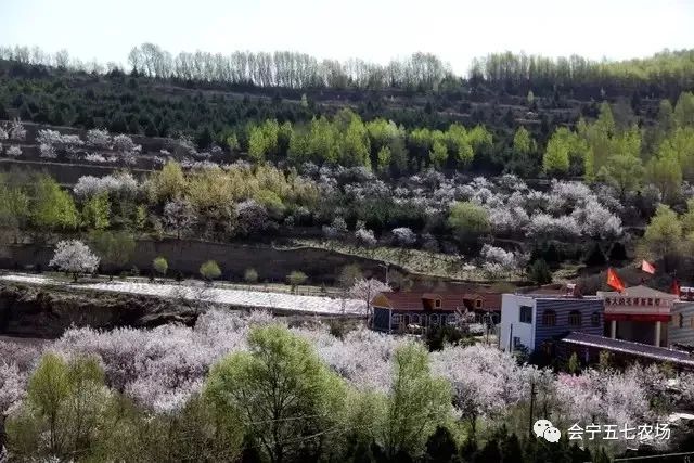 "五一"何必去远方,五七农场在身边._会宁县