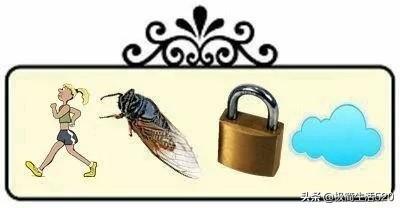 包包相机橘子猜成语_qq飞车小橘子