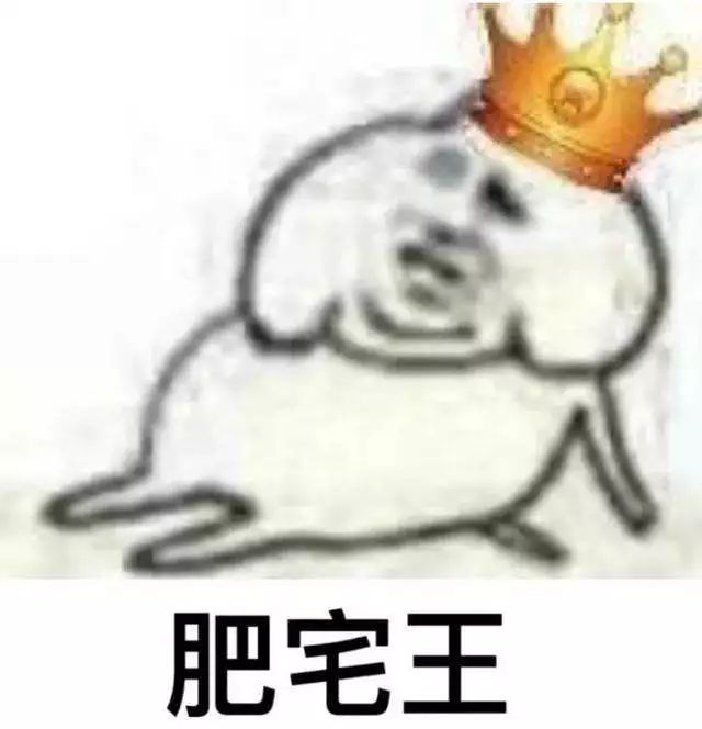 28e733723b664e6bafe3cfaa64710fb0.jpeg