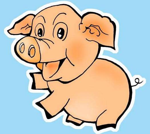 疯狂猜成语鱼眼睛猪人_死猪不怕开水烫猜成语(2)